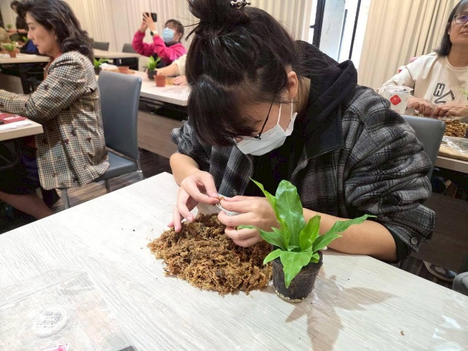 同學認真地製作苔球