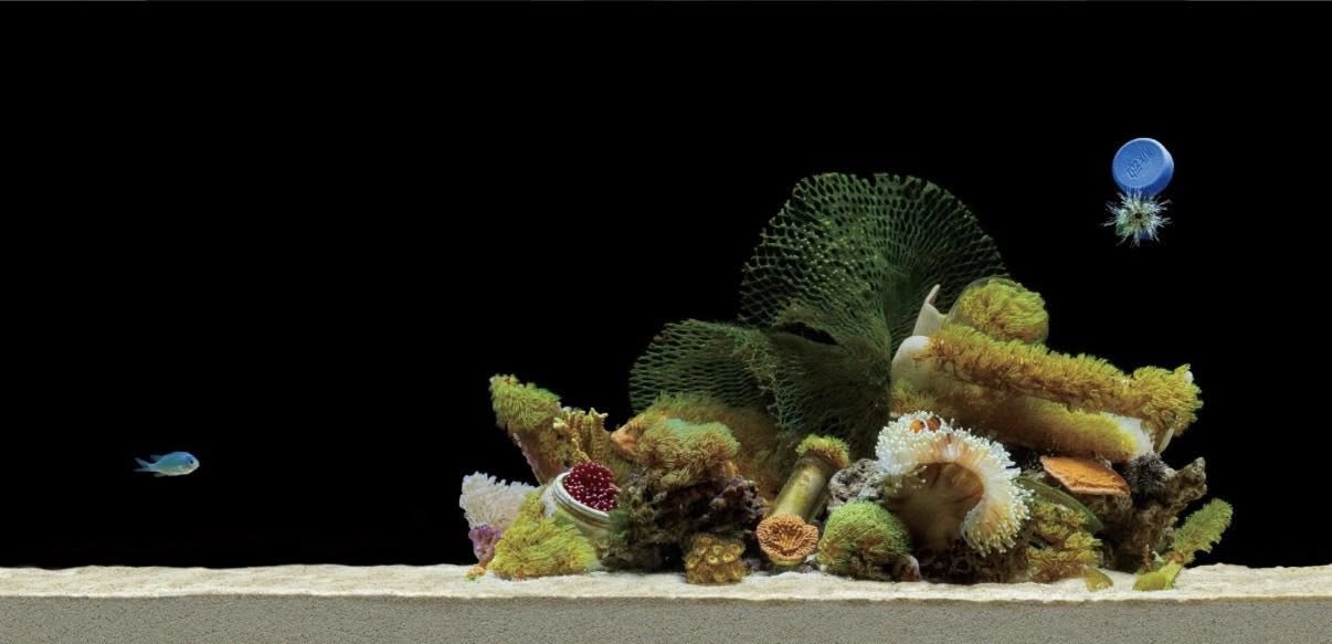 《Marine debris · Home》於概念設計—Environmental Issues 類別獲得銀獎